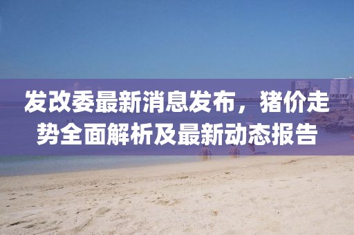 发改委最新消息发布，猪价走势全面解析及最新动态报告