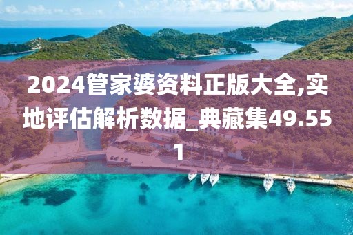 2024管家婆资料正版大全,实地评估解析数据_典藏集49.551