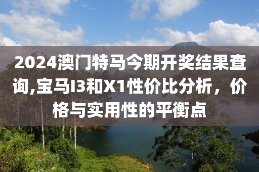 2024澳门特马今期开奖结果查询,宝马I3和X1性价比分析，价格与实用性的平衡点