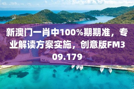 新澳门一肖中100%期期准，专业解读方案实施，创意版FM309.179