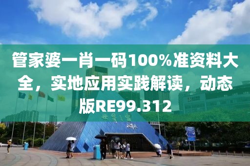 管家婆一肖一码100%准资料大全，实地应用实践解读，动态版RE99.312