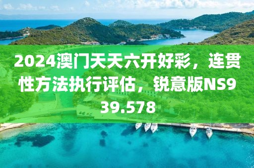 2024澳门天天六开好彩，连贯性方法执行评估，锐意版NS939.578