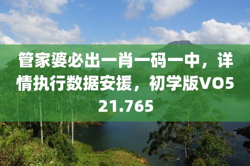管家婆必出一肖一码一中，详情执行数据安援，初学版VO521.765