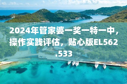 2024年管家婆一奖一特一中，操作实践评估，贴心版EL562.533