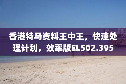 香港特马资料王中王，快速处理计划，效率版EL502.395