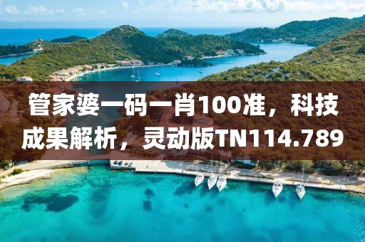 管家婆一码一肖100准，科技成果解析，灵动版TN114.789