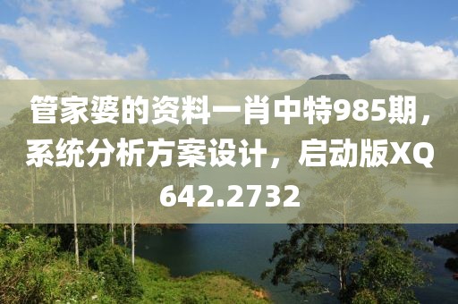管家婆的资料一肖中特985期，系统分析方案设计，启动版XQ642.2732