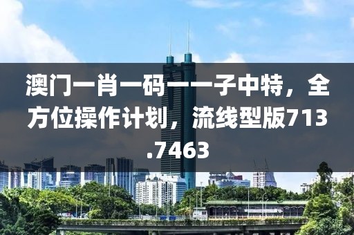 澳门一肖一码一一子中特，全方位操作计划，流线型版713.7463