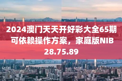 2024澳门天天开好彩大全65期 可依赖操作方案，家庭版NIB28.75.89