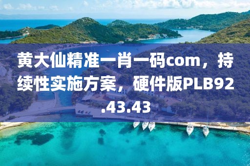黄大仙精准一肖一码com，持续性实施方案，硬件版PLB92.43.43