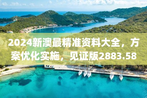 2024新澳最精准资料大全，方案优化实施，见证版2883.58
