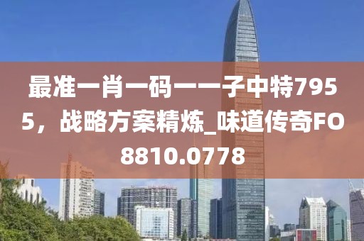 最准一肖一码一一子中特7955，战略方案精炼_味道传奇FO8810.0778