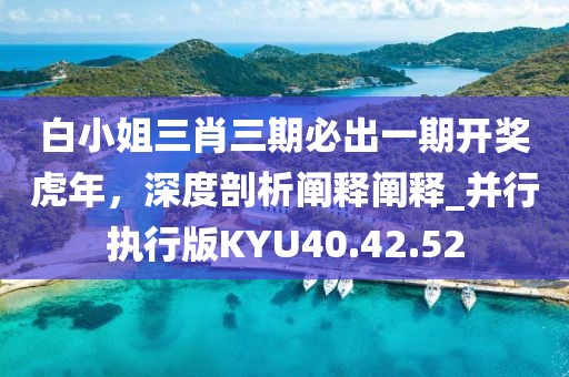 白小姐三肖三期必出一期开奖虎年，深度剖析阐释阐释_并行执行版KYU40.42.52