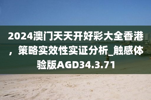 2024澳门天天开好彩大全香港，策略实效性实证分析_触感体验版AGD34.3.71