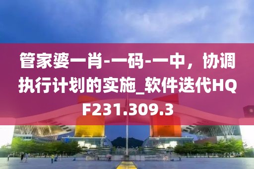 管家婆一肖-一码-一中，协调执行计划的实施_软件迭代HQF231.309.3