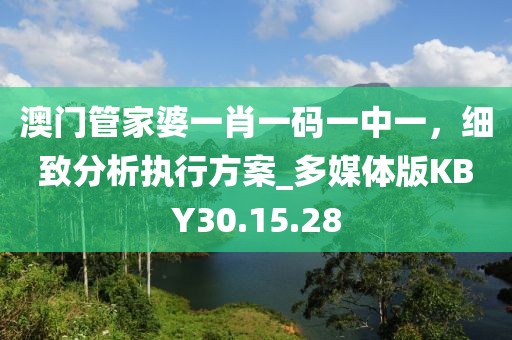 澳门管家婆一肖一码一中一，细致分析执行方案_多媒体版KBY30.15.28