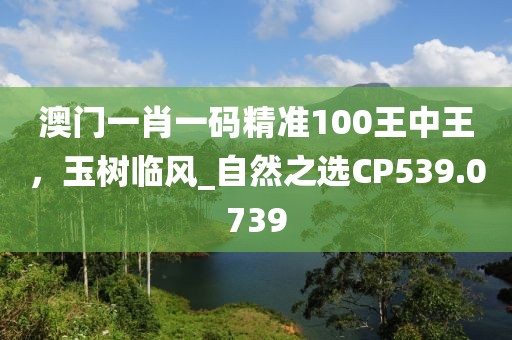澳门一肖一码精准100王中王，玉树临风_自然之选CP539.0739