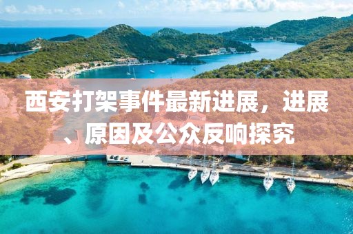 西安打架事件最新进展，进展、原因及公众反响探究