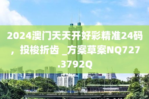 2024澳门天天开好彩精准24码，投梭折齿 _方案草案NQ727.3792Q
