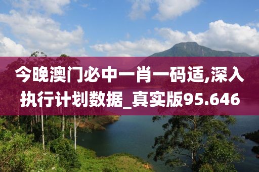 今晚澳门必中一肖一码适,深入执行计划数据_真实版95.646