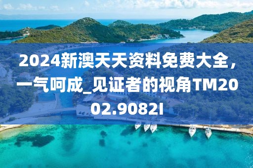 2024新澳天天资料免费大全，一气呵成_见证者的视角TM2002.9082I