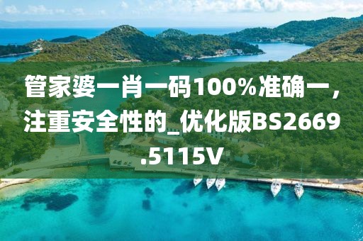 管家婆一肖一码100%准确一，注重安全性的_优化版BS2669.5115V