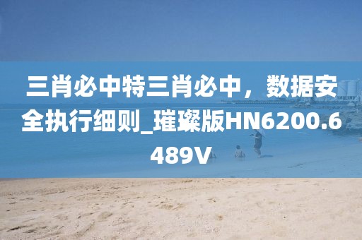 三肖必中特三肖必中，数据安全执行细则_璀璨版HN6200.6489V