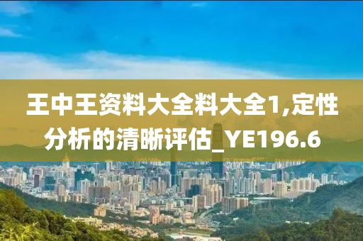 王中王资料大全料大全1,定性分析的清晰评估_YE196.6