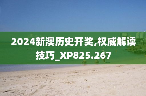 2024新澳历史开奖,权威解读技巧_XP825.267