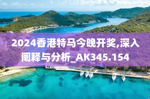 2024香港特马今晚开奖,深入阐释与分析_AK345.154