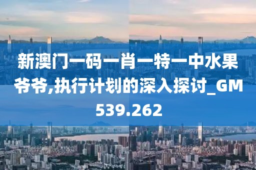 新澳门一码一肖一特一中水果爷爷,执行计划的深入探讨_GM539.262