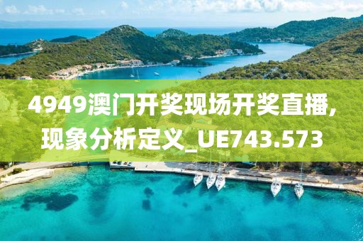 4949澳门开奖现场开奖直播,现象分析定义_UE743.573