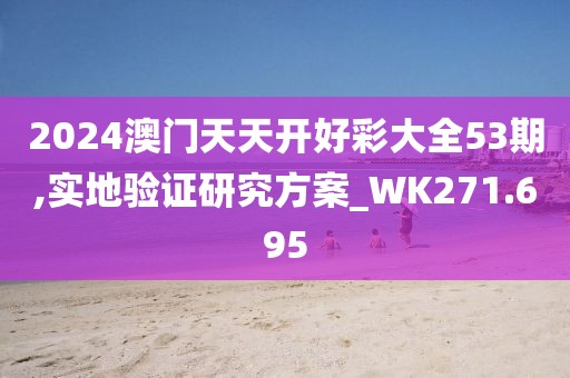 2024澳门天天开好彩大全53期,实地验证研究方案_WK271.695