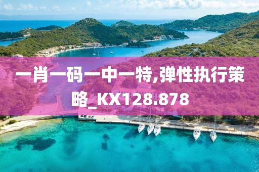 一肖一码一中一特,弹性执行策略_KX128.878