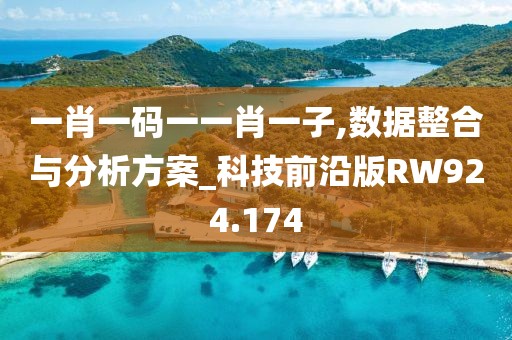 一肖一码一一肖一子,数据整合与分析方案_科技前沿版RW924.174