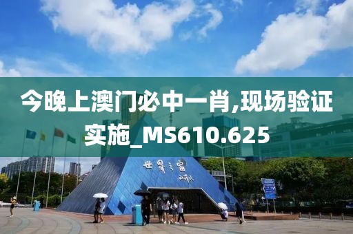 今晚上澳门必中一肖,现场验证实施_MS610.625