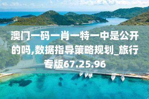 澳门一码一肖一特一中是公开的吗,数据指导策略规划_旅行专版67.25.96