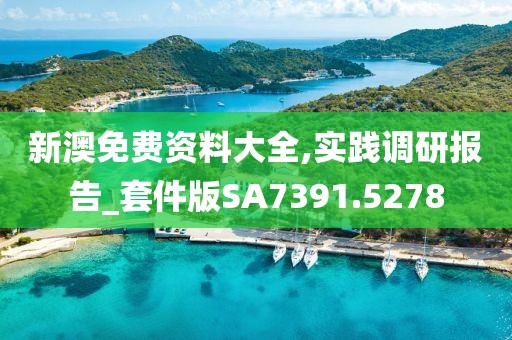 新澳免费资料大全,实践调研报告_套件版SA7391.5278