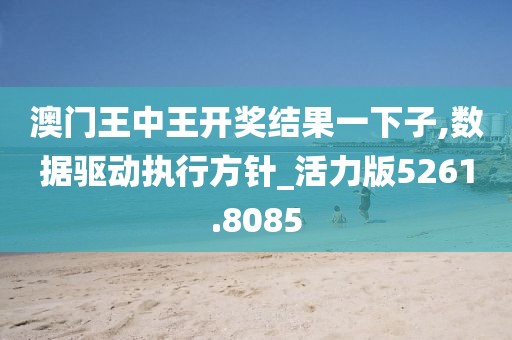 澳门王中王开奖结果一下子,数据驱动执行方针_活力版5261.8085