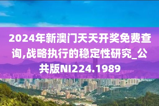 2024年新澳门天天开奖免费查询,战略执行的稳定性研究_公共版NI224.1989