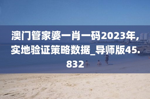 澳门管家婆一肖一码2023年,实地验证策略数据_导师版45.832