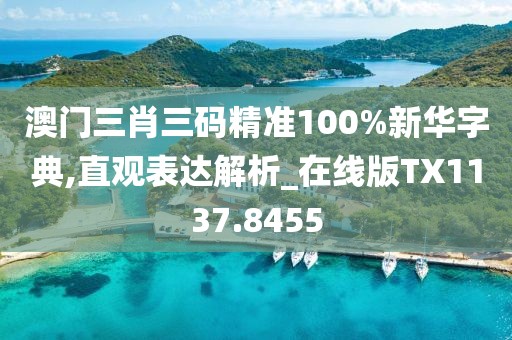 澳门三肖三码精准100%新华字典,直观表达解析_在线版TX1137.8455