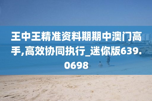 王中王精准资料期期中澳门高手,高效协同执行_迷你版639.0698