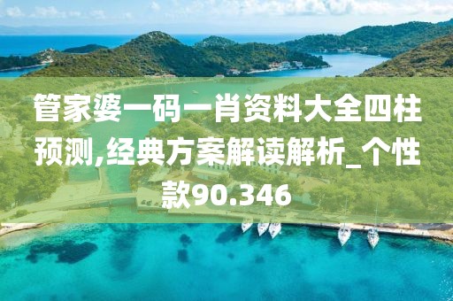 管家婆一码一肖资料大全四柱预测,经典方案解读解析_个性款90.346