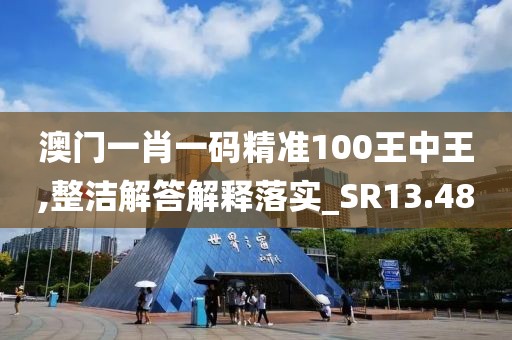 澳门一肖一码精准100王中王,整洁解答解释落实_SR13.48
