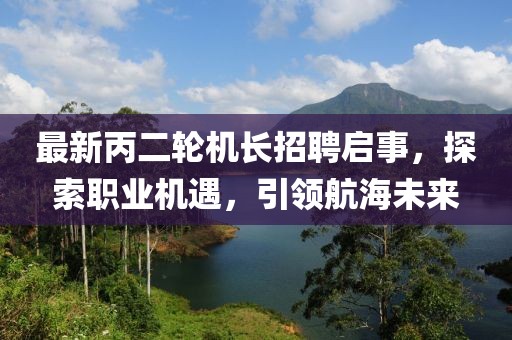 最新丙二轮机长招聘启事，探索职业机遇，引领航海未来