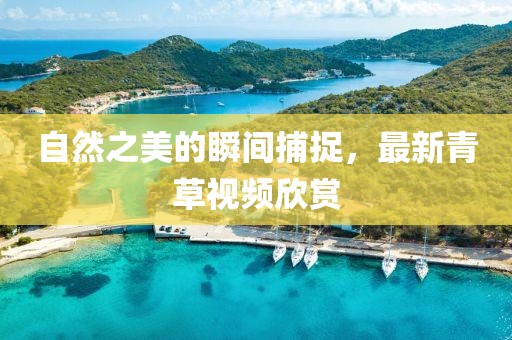 自然之美的瞬间捕捉，最新青草视频欣赏
