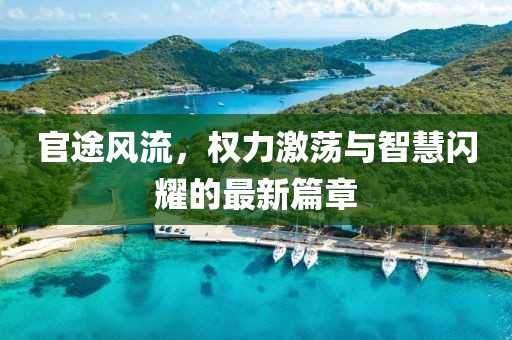 官途风流，权力激荡与智慧闪耀的最新篇章