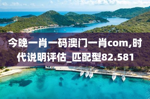 今晚一肖一码澳门一肖com,时代说明评估_匹配型82.581