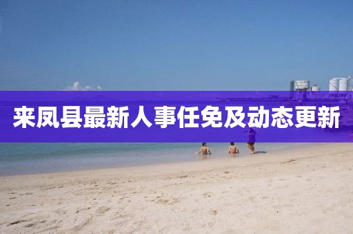 来凤县最新人事任免及动态更新